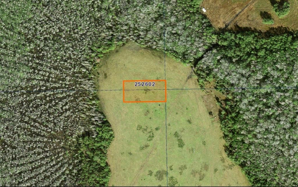 For Sale: $11,000 (1.25 acres)