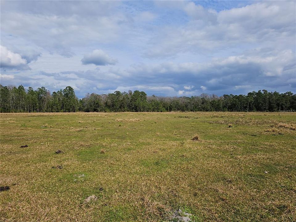 For Sale: $11,000 (1.25 acres)