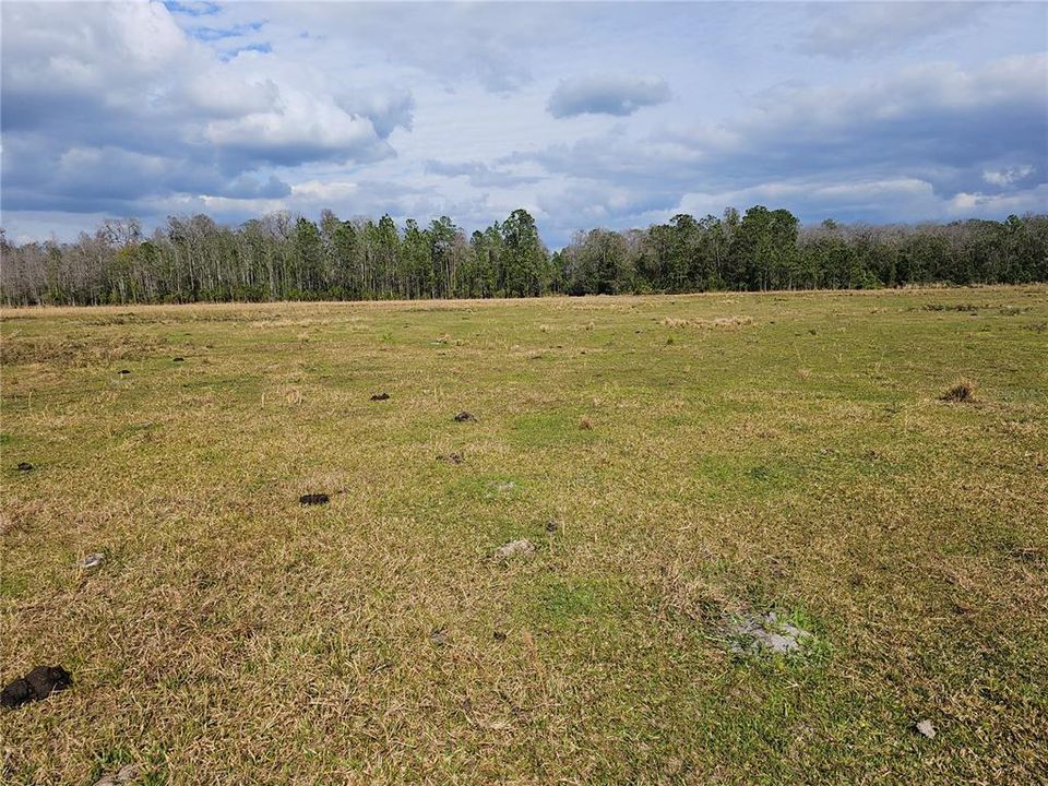 For Sale: $11,000 (1.25 acres)