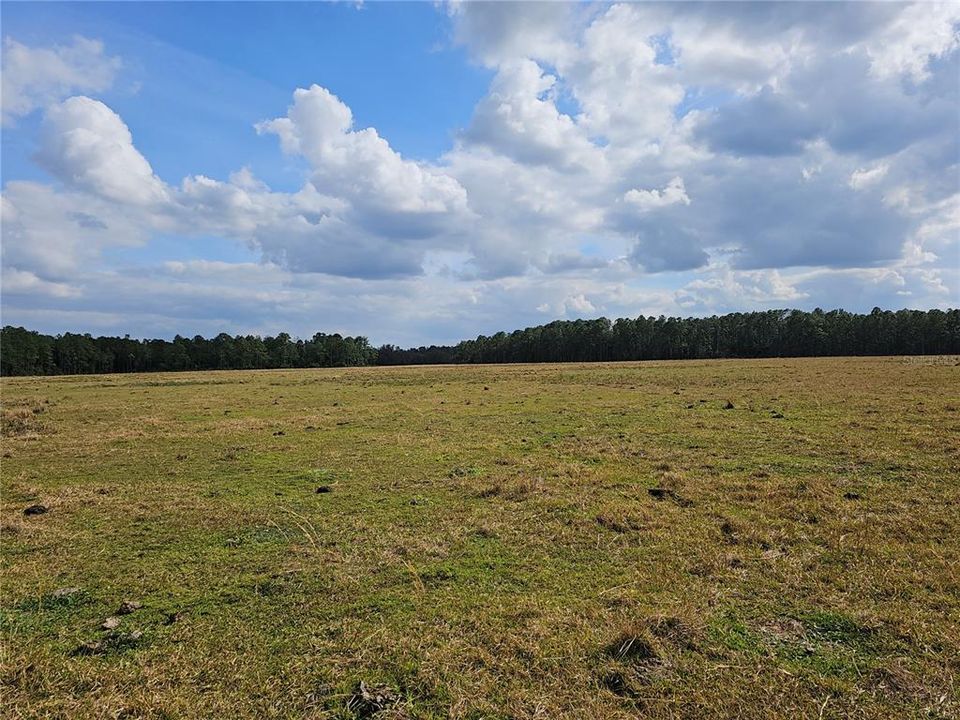 На продажу: $11,000 (1.25 acres)