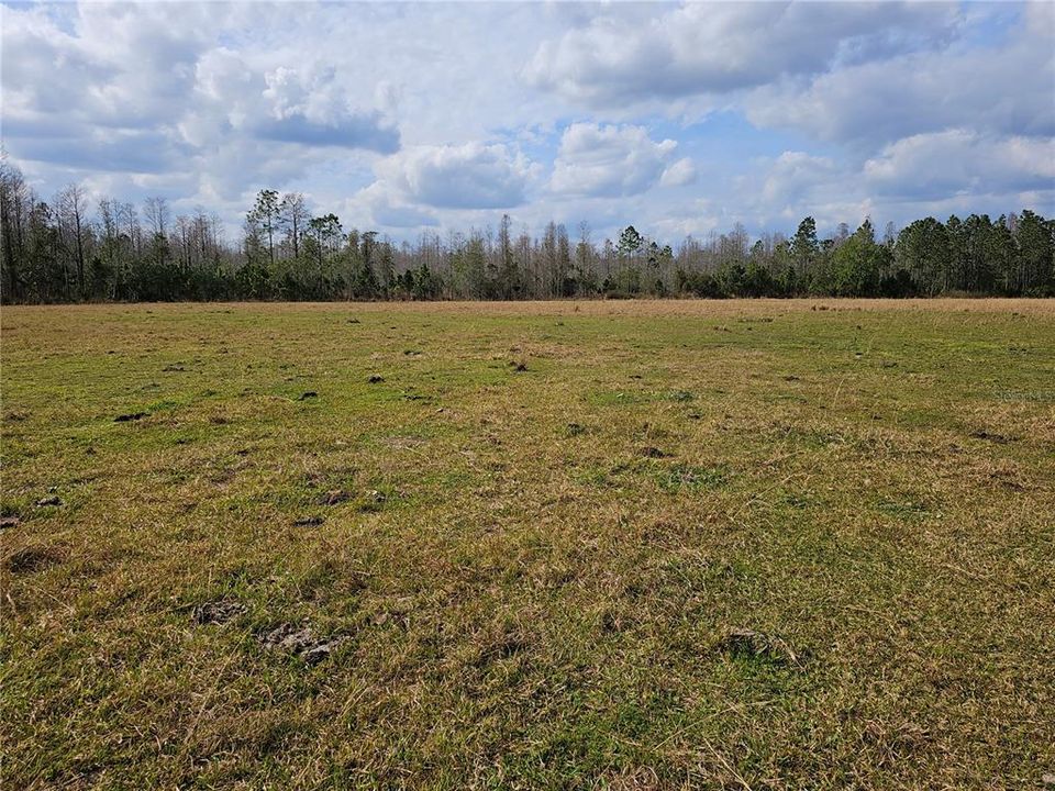 For Sale: $11,000 (1.25 acres)