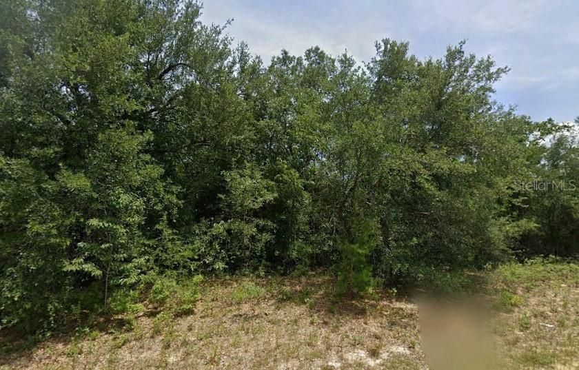 For Sale: $13,000 (0.23 acres)