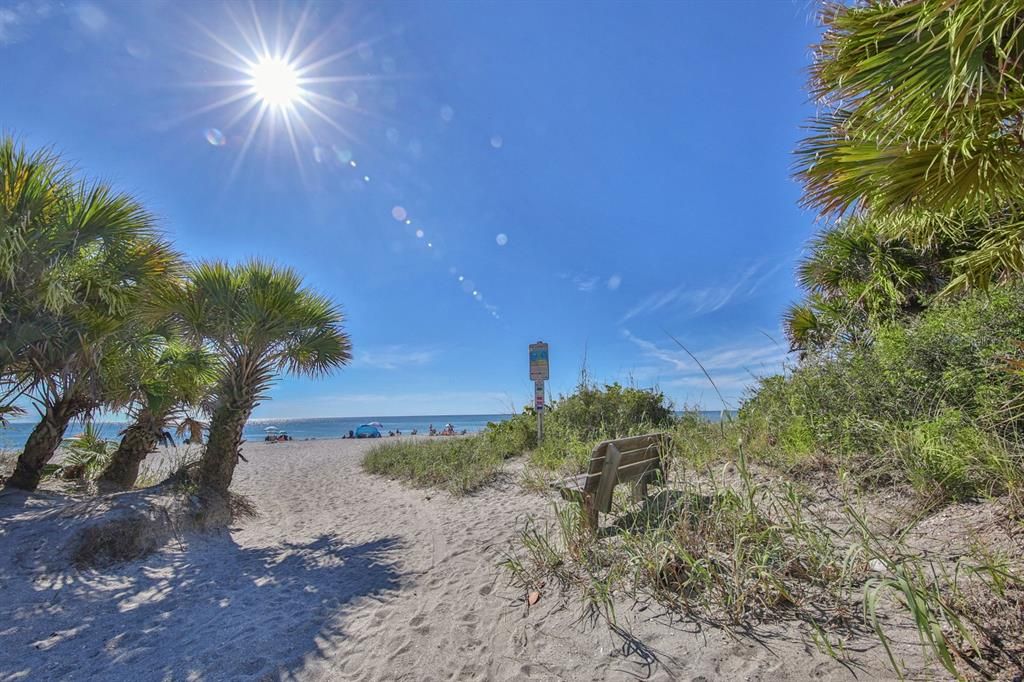 Manasota Beach is so natural and unspoiled. Here you can find an array of seashells