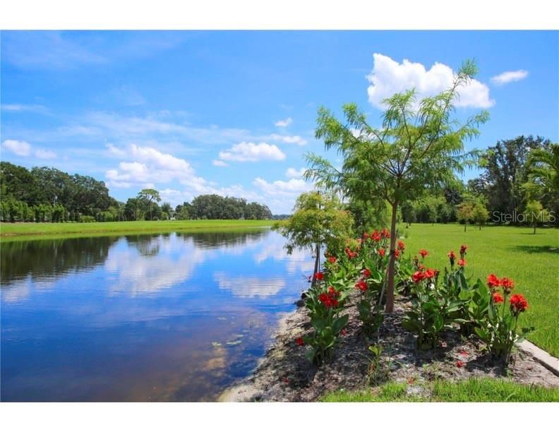 Active With Contract: $1,950,000 (4.80 acres)