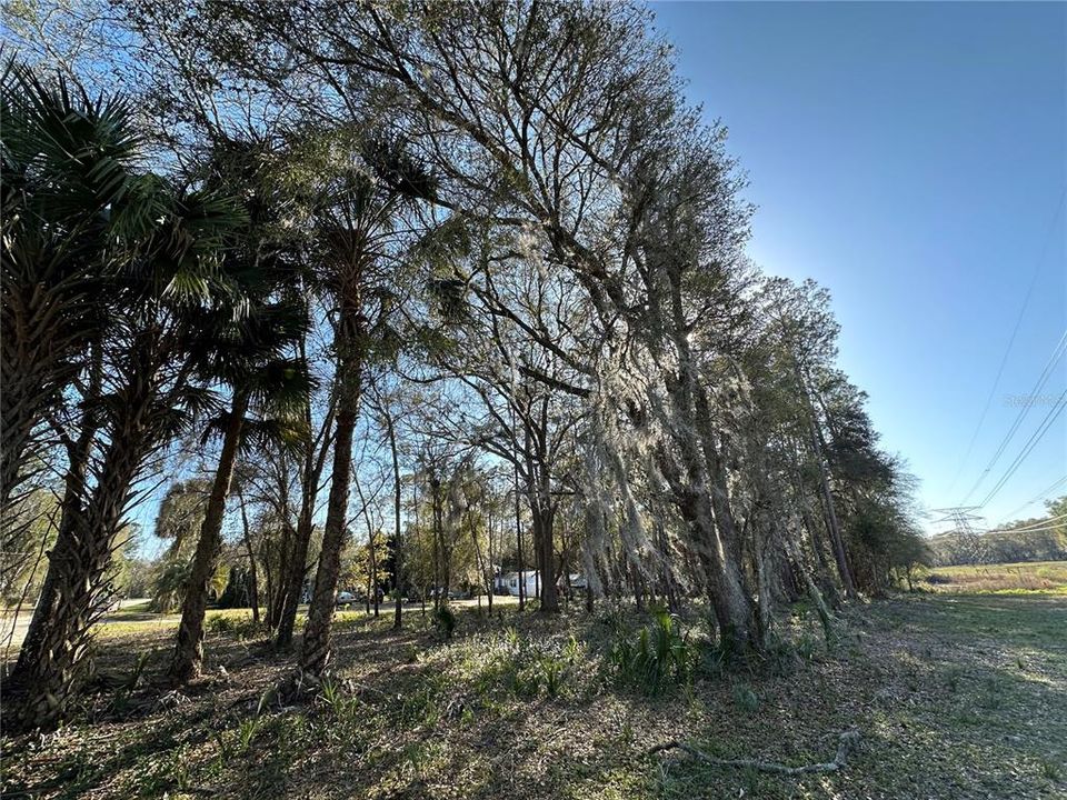For Sale: $19,900 (1.00 acres)