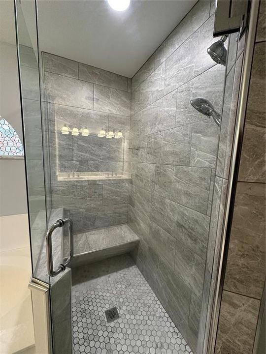 Master Bathroom Shower Stall