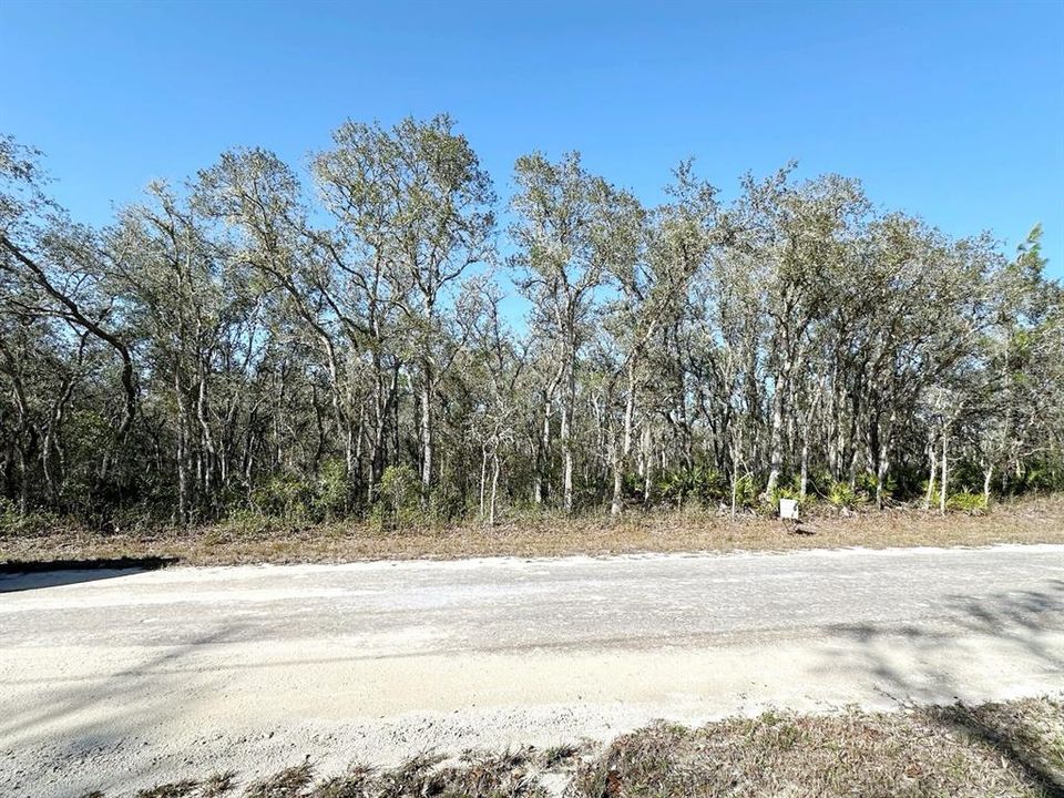 En Venta: $29,900 (0.66 acres)