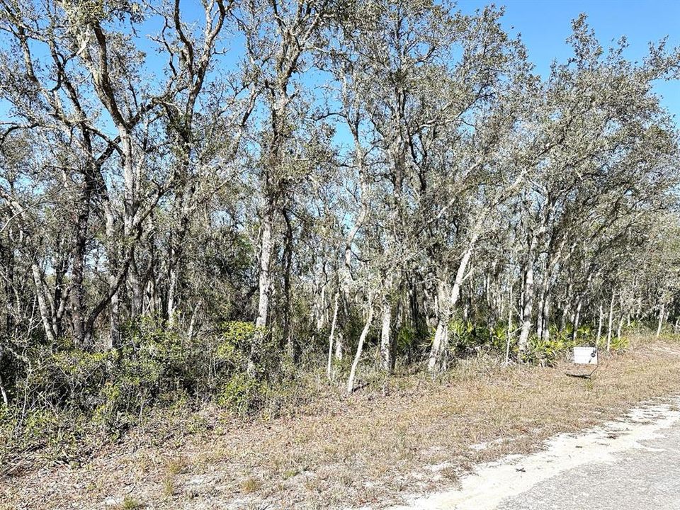 En Venta: $29,900 (0.66 acres)