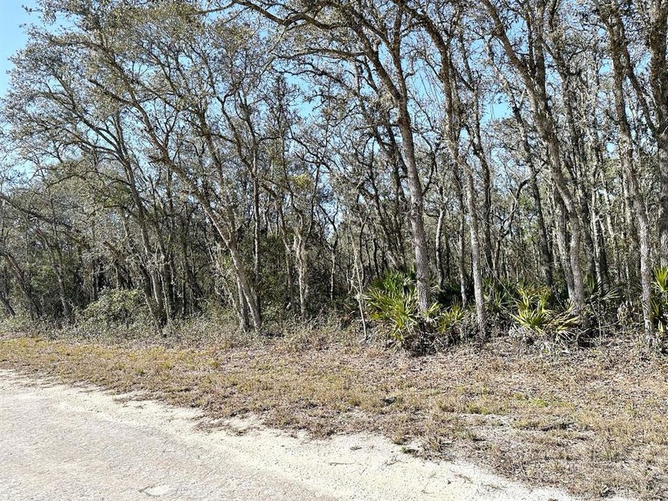For Sale: $29,900 (0.66 acres)