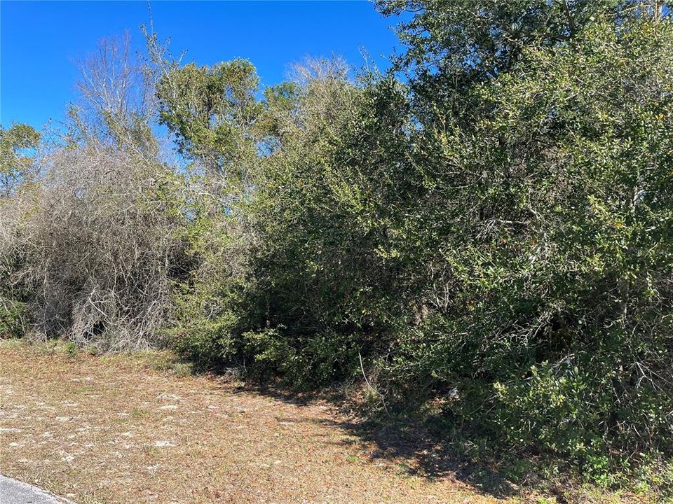Active With Contract: $70,000 (0.23 acres)