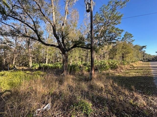 2.55 Acres for your dream home!