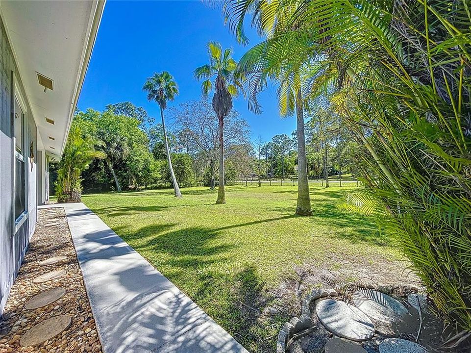 Lovely path to front door