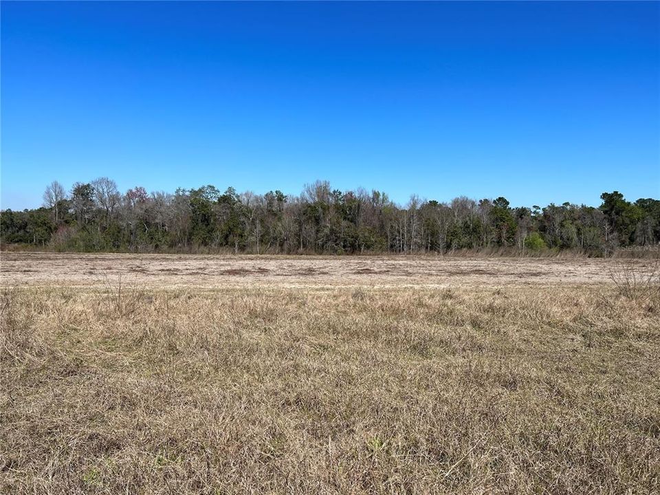 For Sale: $145,000 (10.21 acres)
