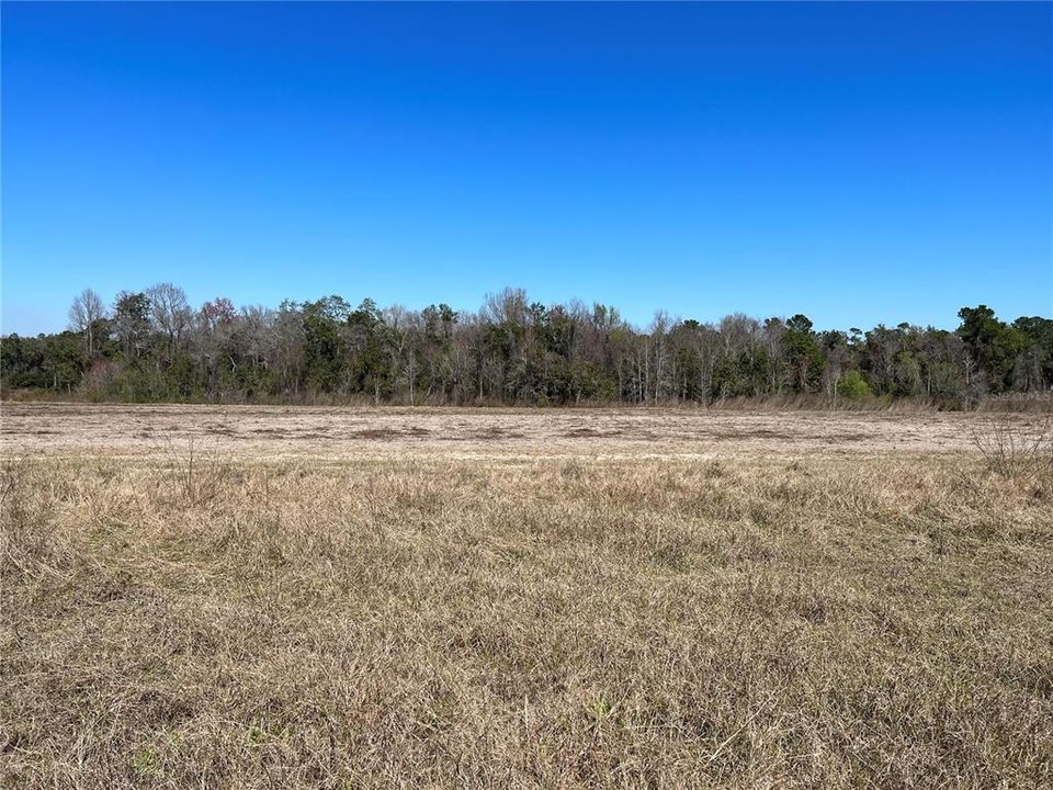 На продажу: $145,000 (10.21 acres)