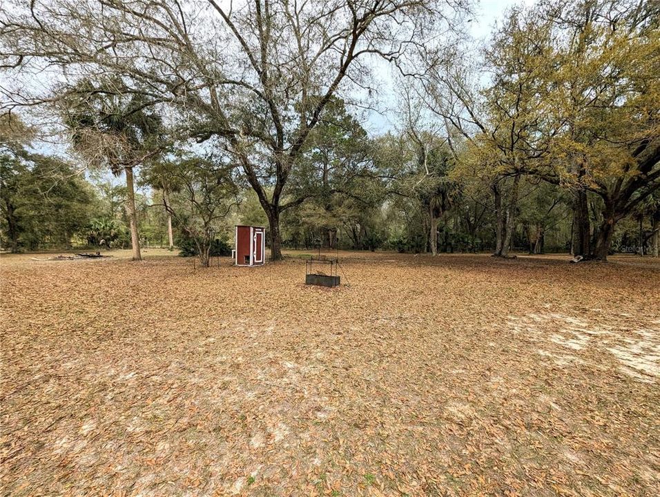 Spacious front yard