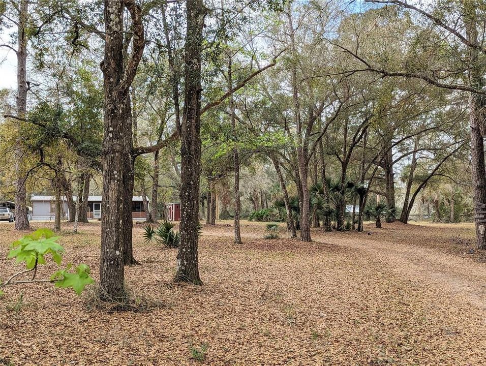 Front yard w/ home in background