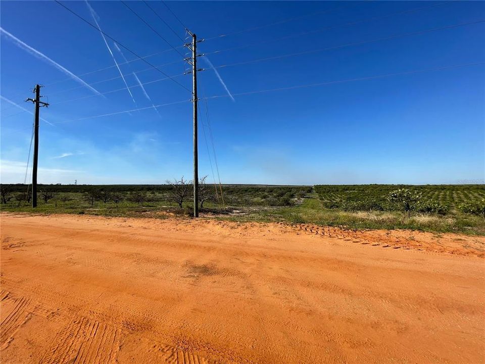 For Sale: $275,380 (19.67 acres)