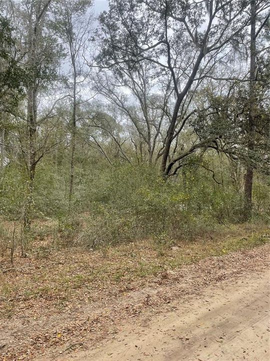 Recently Sold: $12,500 (1.23 acres)