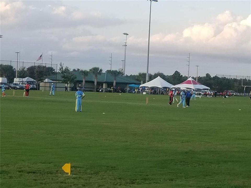 Cricket game at one of the community's park.