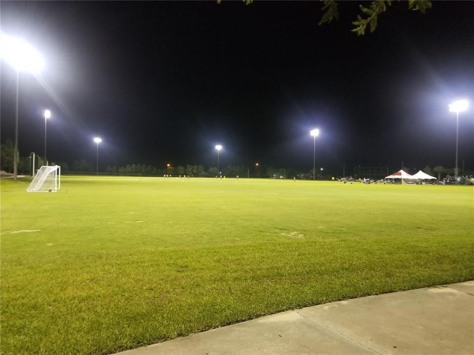 Cricket game in night at one of the community's park.