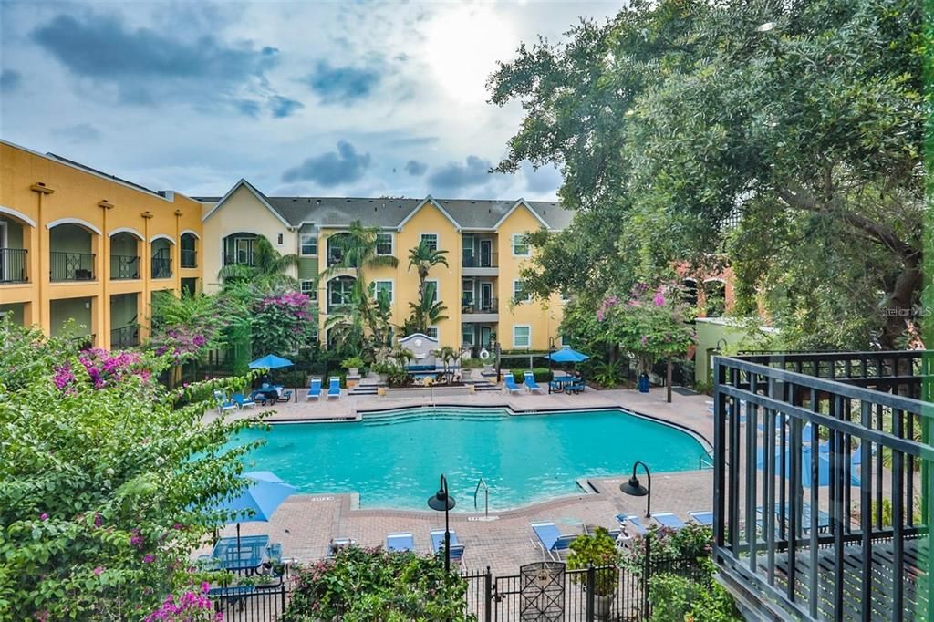 courtyard pool