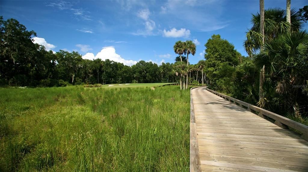 Active With Contract: $1,099,999 (0.30 acres)