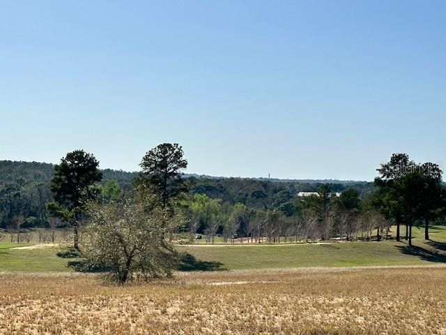 For Sale: $375,000 (0.13 acres)