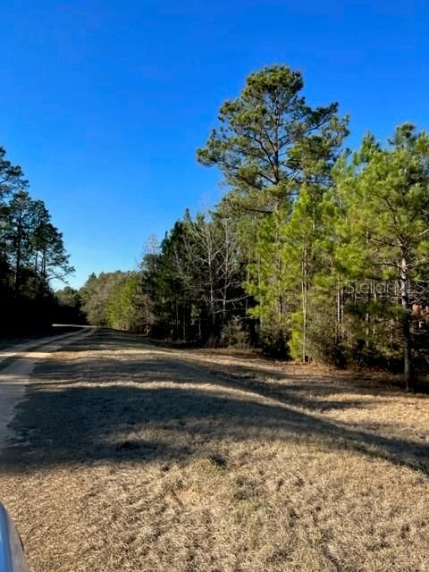 Recently Sold: $36,900 (12.11 acres)