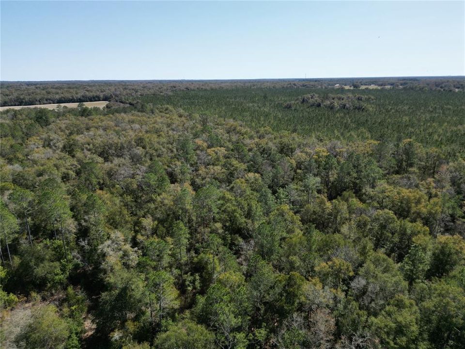 For Sale: $140,000 (10.01 acres)
