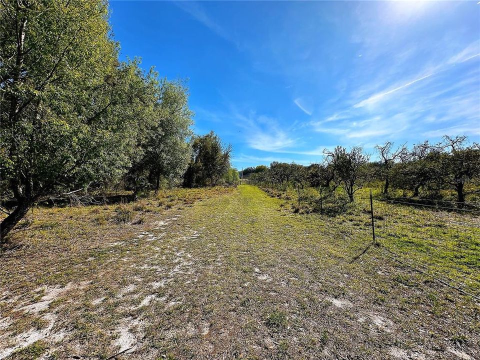 For Sale: $998,000 (25.30 acres)