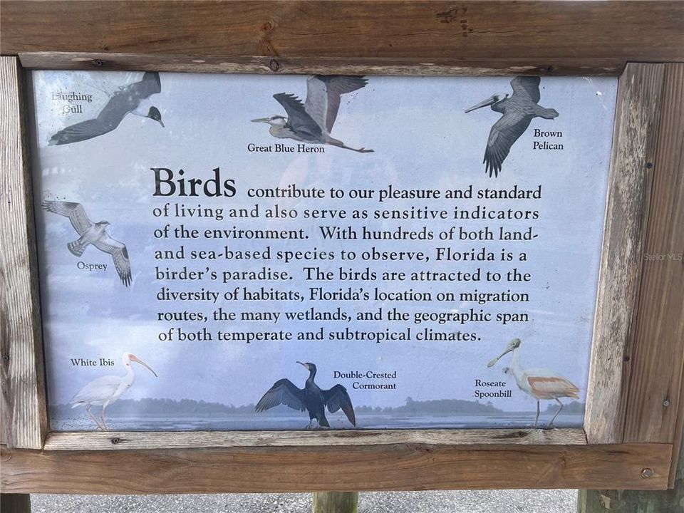 Great Florida Birding Trail at Cemetery Pointe Park.