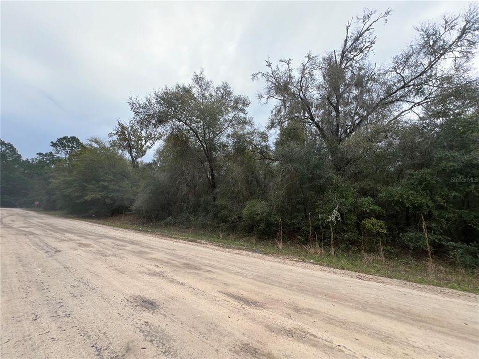 For Sale: $169,000 (5.07 acres)