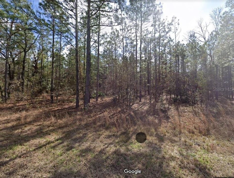 For Sale: $25,000 (0.46 acres)