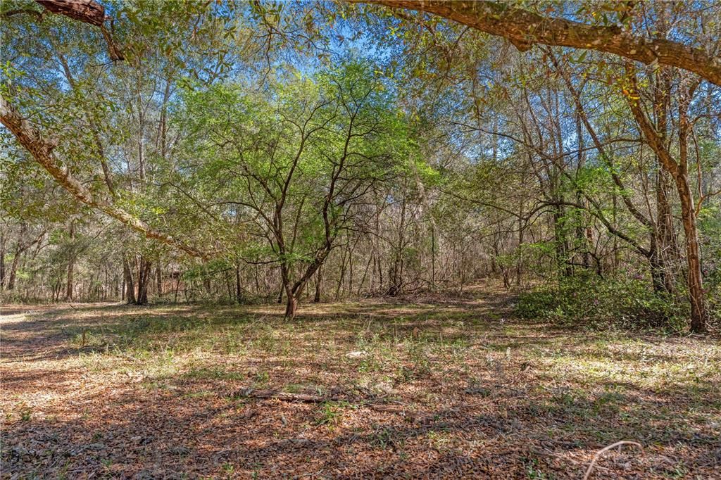 Vendido Recientemente: $85,000 (4.45 acres)