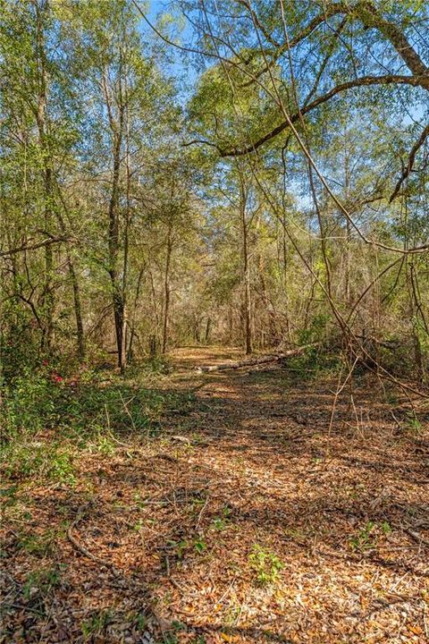 Recently Sold: $85,000 (4.45 acres)