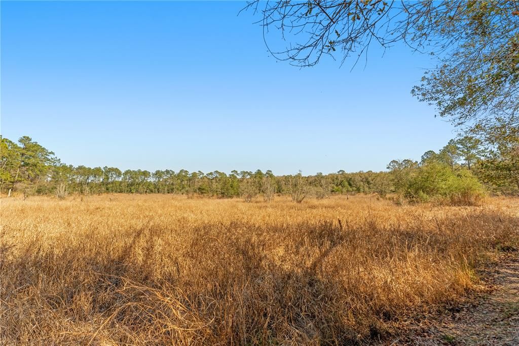 Recently Sold: $85,000 (4.45 acres)