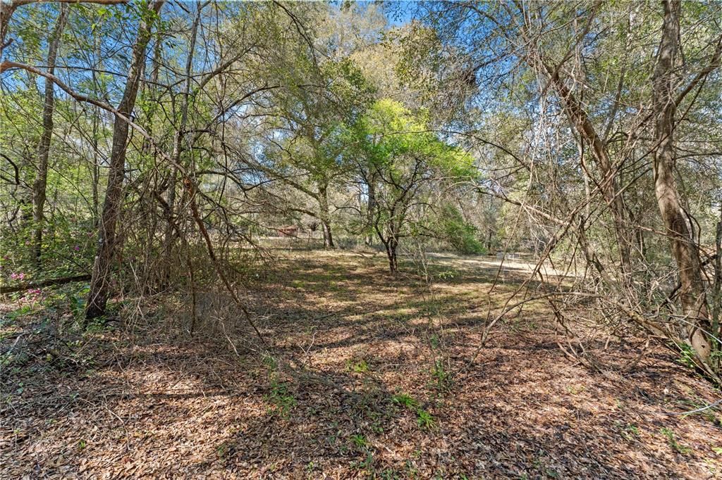 Recently Sold: $85,000 (4.45 acres)