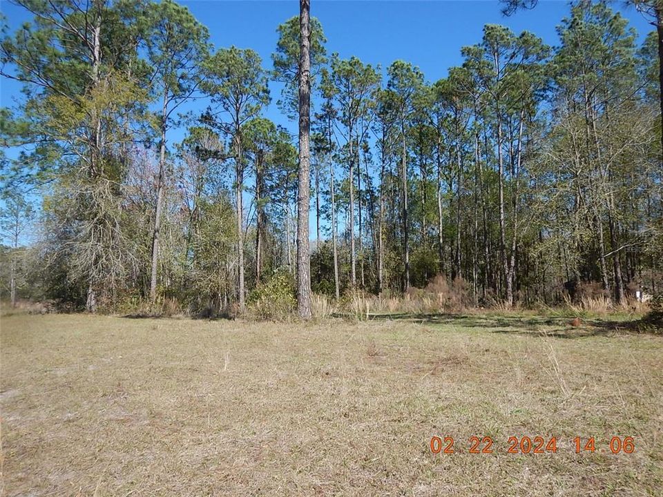 Corner of Fox Hollow Dr & Fox Hollow Court