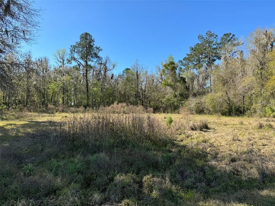 Recently Sold: $49,500 (0.86 acres)