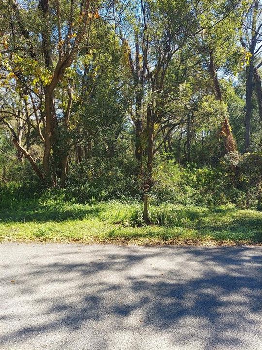 Recently Sold: $30,000 (0.38 acres)