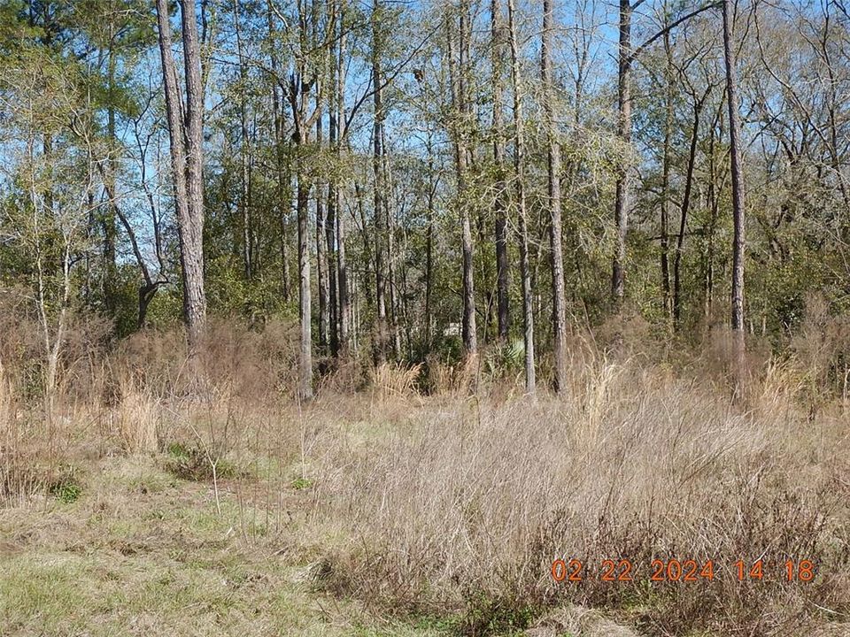 Recently Sold: $38,000 (0.94 acres)