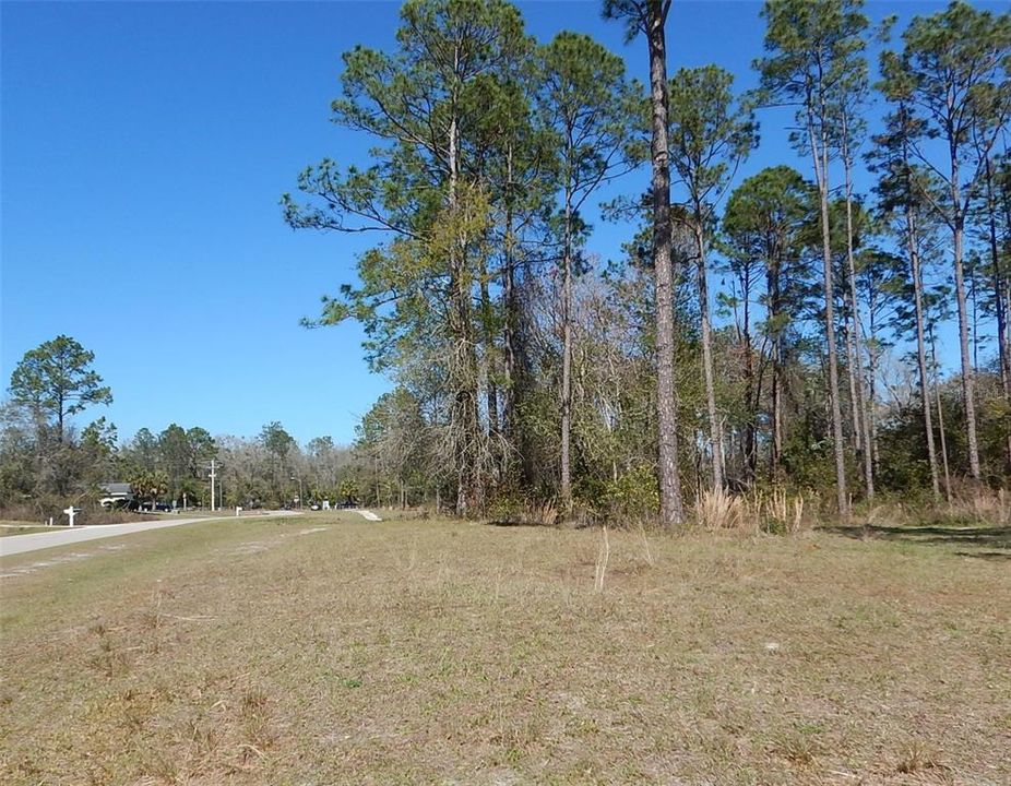 Paved Road Frontage