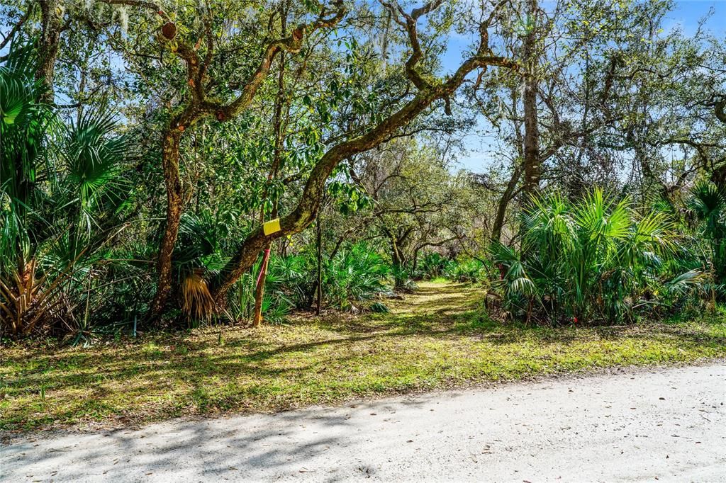 Active With Contract: $600,000 (12.10 acres)