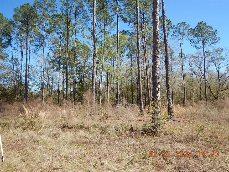 Recently Sold: $34,000 (0.61 acres)