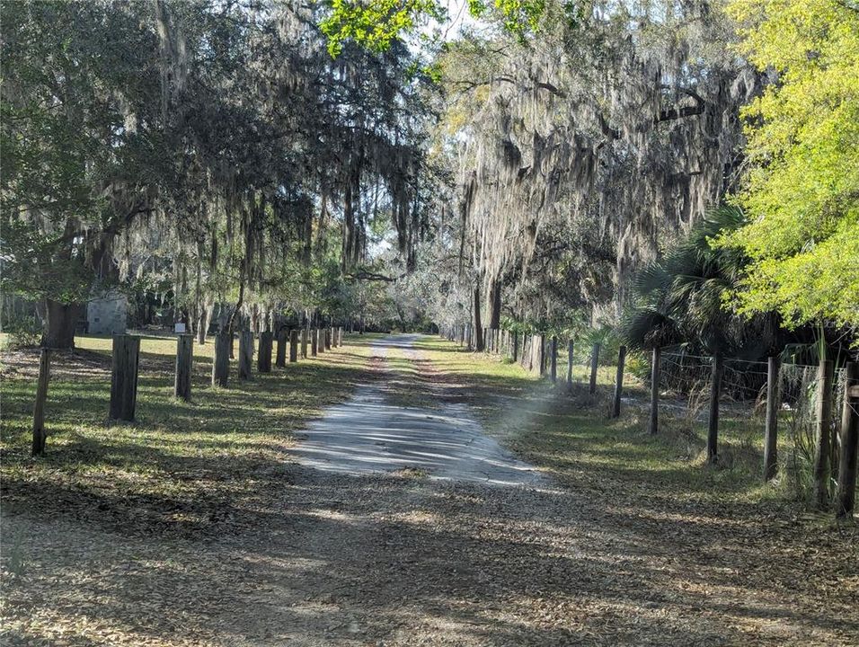 Road to the private park