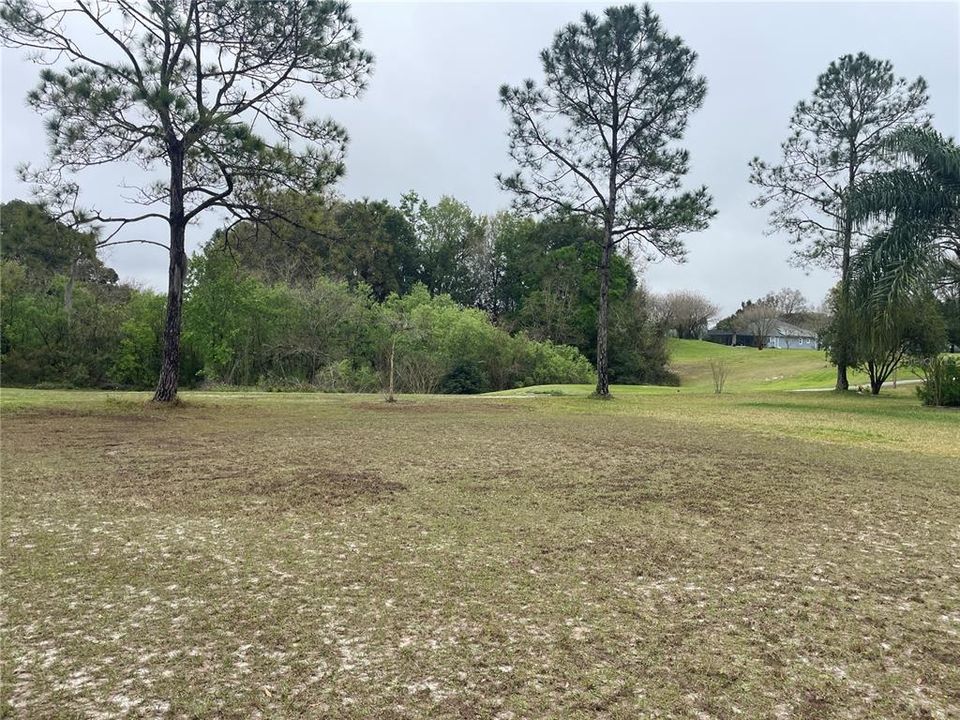Recently Sold: $55,000 (0.36 acres)