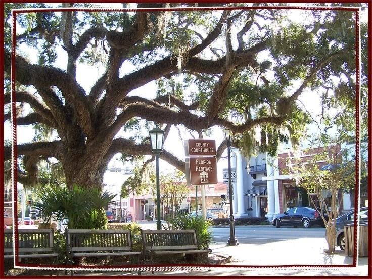 Downtown Brooksville