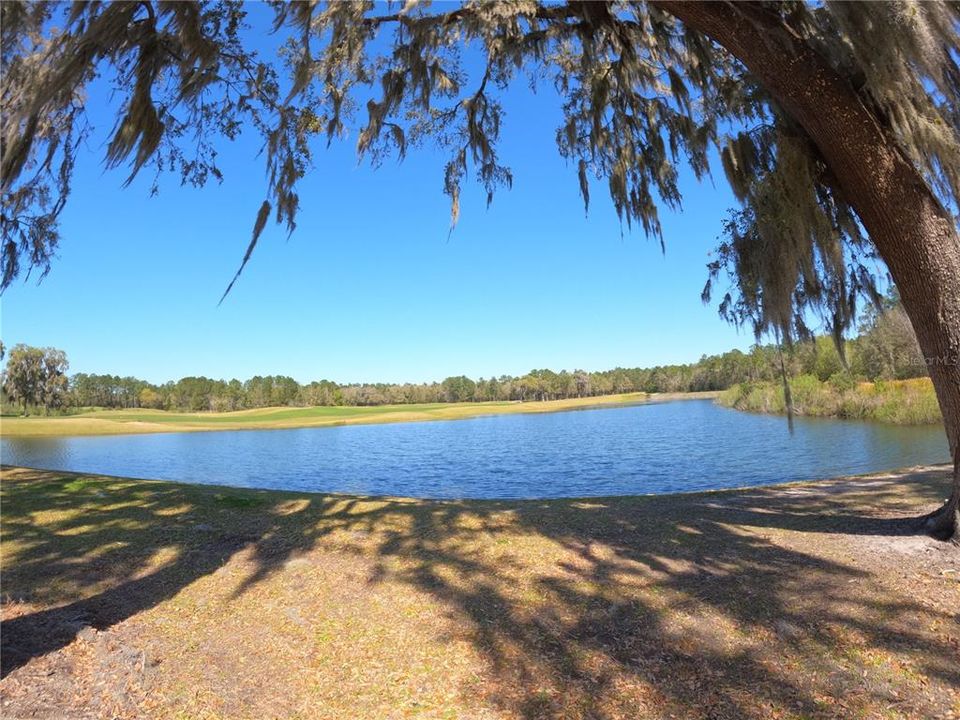 На продажу: $55,000 (0.19 acres)