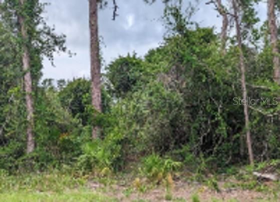 Recently Sold: $48,500 (0.24 acres)