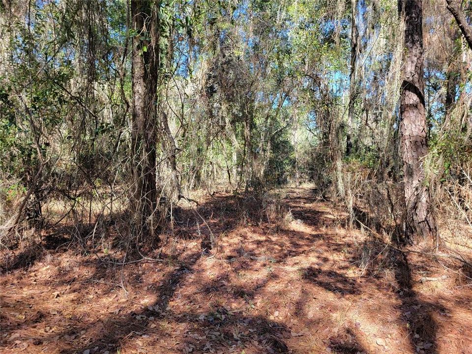Recently Sold: $44,900 (1.01 acres)